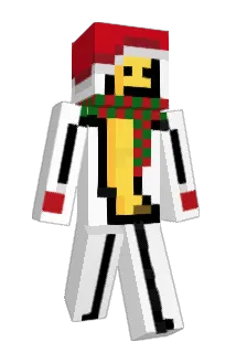 Spaarpotje Minecraft avatar full body