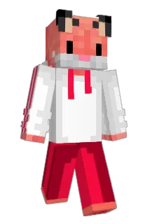 SpaceFox_ Minecraft avatar full body