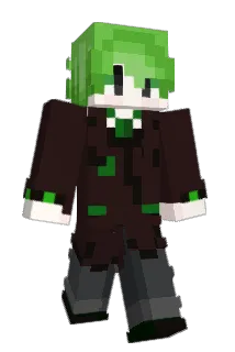 SpaceRaceFrog Minecraft avatar full body