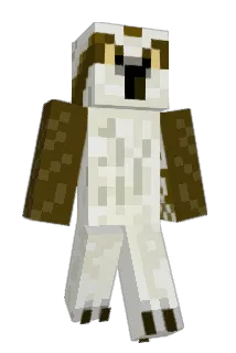 SpaceVoyage Minecraft avatar full body