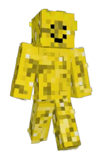 SpacebirdNico Minecraft avatar full body