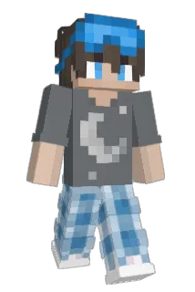 Spacexz1 Minecraft avatar full body