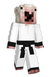 Spark0l171004 Minecraft avatar full body