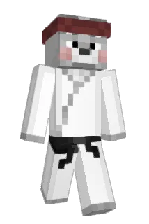 Spaykee Minecraft avatar full body