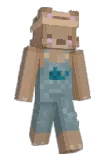 Specific1 Minecraft avatar full body