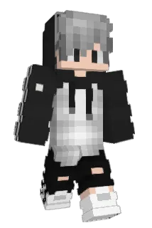 Spedo Minecraft avatar full body