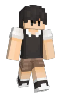 SpeedFLOW_ Minecraft avatar full body