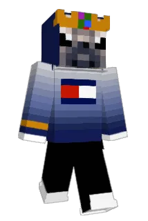 SpheredSquid22 Minecraft avatar full body