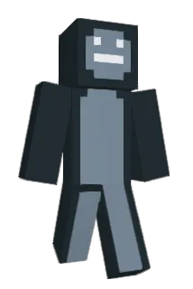 Spincial Minecraft avatar full body