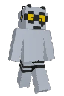 Spindee Minecraft avatar full body