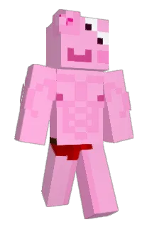 SplashySeal Minecraft avatar full body