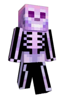Splatinum Minecraft avatar full body
