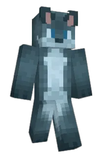 Splopsussa Minecraft avatar full body