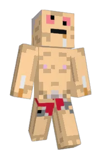 Spoerman Minecraft avatar full body