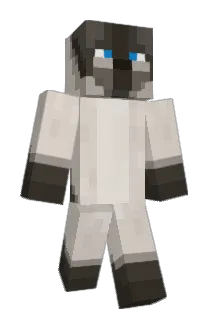 Spool_of_YaRn Minecraft avatar full body