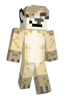 Spoonydoodle Minecraft avatar full body