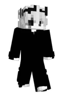 SpringDegree407 Minecraft avatar full body