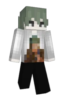 Sqnset Minecraft avatar full body