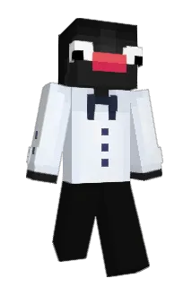 SquabblyDoo Minecraft avatar full body