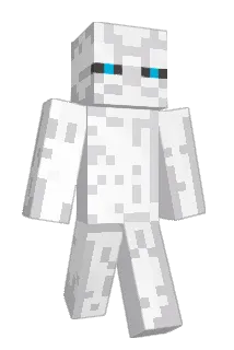 SquidIey Minecraft avatar full body