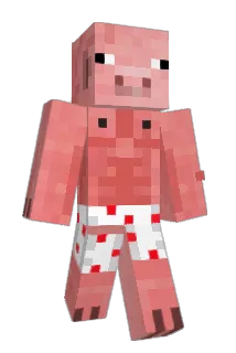 Squiggle173 Minecraft avatar full body