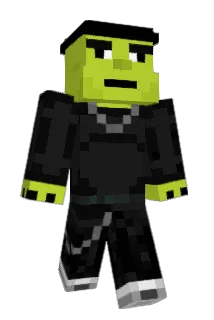 Squirrel501 Minecraft avatar full body