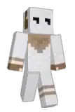 SquirrelSodium Minecraft avatar full body