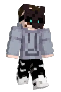 Sqwark Minecraft avatar full body
