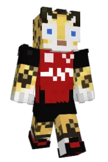 SrCatman Minecraft avatar full body