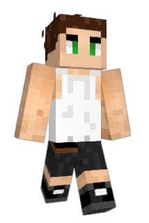 SrKraft119 Minecraft avatar full body