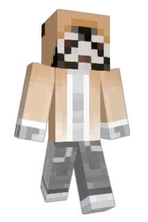 SrSpawning Minecraft avatar full body