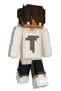SrTatto Minecraft avatar full body