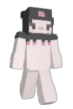 Sron Minecraft avatar full body