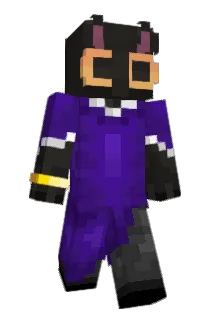 Sseneed Minecraft avatar full body