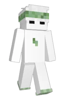 Ssessagi Minecraft avatar full body
