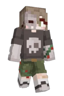 Sspall Minecraft avatar full body