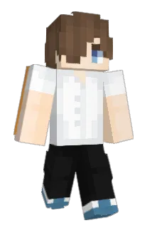 St3r_Fry Minecraft avatar full body
