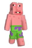StWixy Minecraft avatar full body