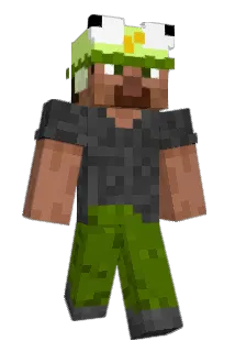Stadie Minecraft avatar full body