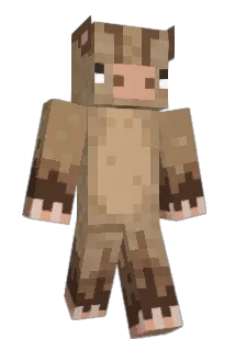 Staedex Minecraft avatar full body