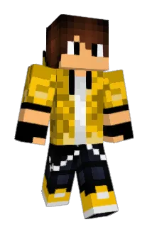 StandixHD Minecraft avatar full body