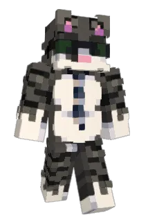 Stanek22 Minecraft avatar full body