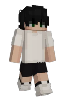 Stanli6 Minecraft avatar full body