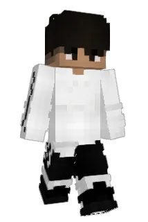 Stap_ Minecraft avatar full body