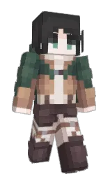 Custom render preview