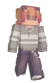 StarWillDo Minecraft avatar full body