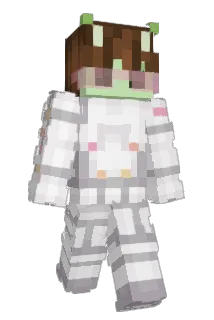 Stargazer14 Minecraft avatar full body