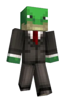 StarlightRoc Minecraft avatar full body