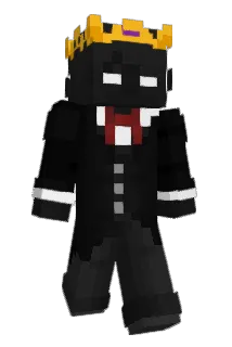 Starllix Minecraft avatar full body