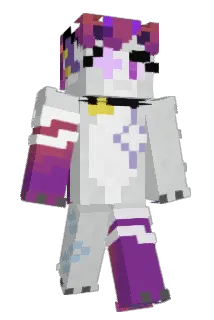 StarryWild Minecraft avatar full body